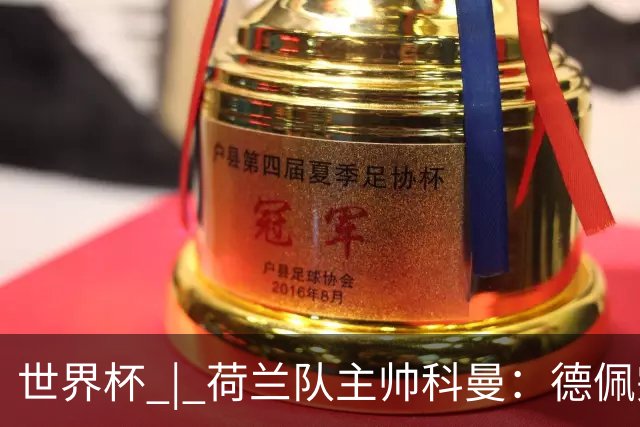 世界杯 | 荷兰队主帅科曼：德佩完全有能力首发出战